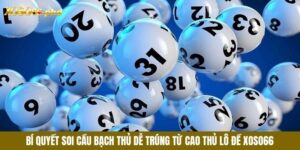 cầu bạch thủ
