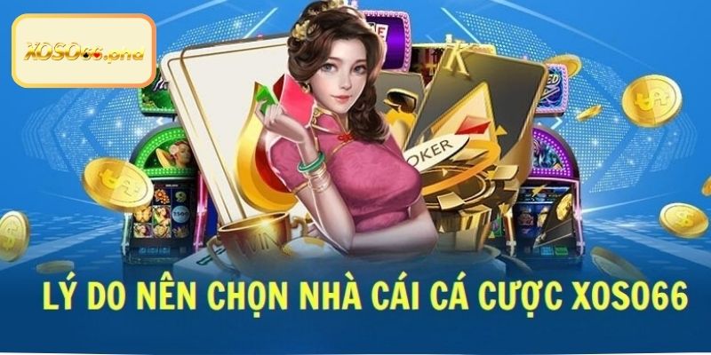 Trở thành hội viên của sân chơi với nhiều lợi thế